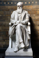 Marble statue of Darwin at the Unnatural History Museum, London.