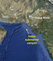 Indus submarine canyon off