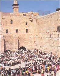Fake Jews "pray" before remains of temple of Jupiter.