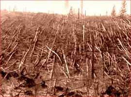 Devastation from the Tunguska explosion. 