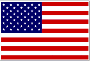 Flag of the United States of Israel. 