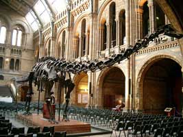 The Unnatural History Museum, London.